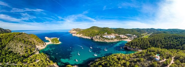 En quoi l'exercice physique est-il bénéfique pour la santé ?