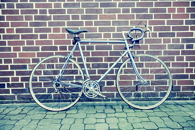 Tout savoir sur le fixie